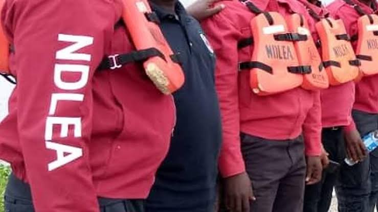 MohBad Was Not Poisoned in Our Custody — NDLEA Spokesperson