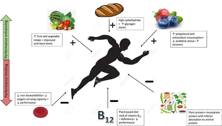 Exploring the Rise of Plant-Based Diets: Benefits and Challenges