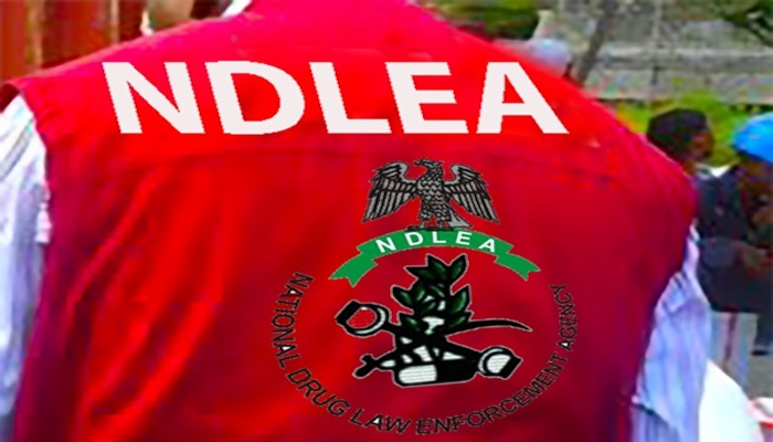 NDLEA Ceases Codeine Shipments Worth N9.8 Billion
