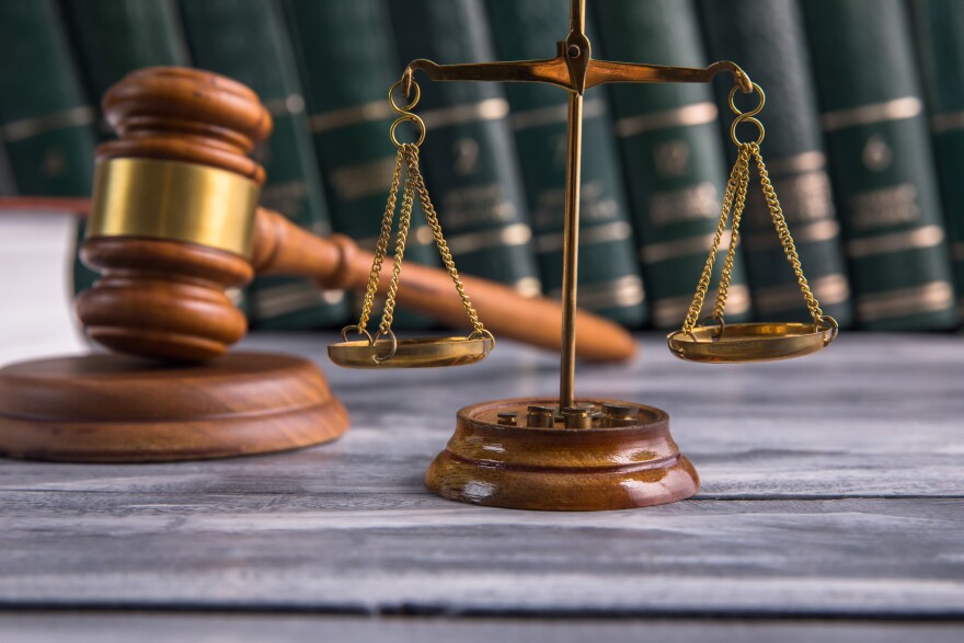 Court Remands Protesters
